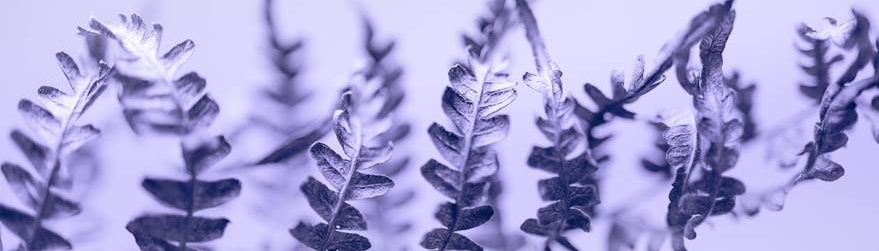 Team Hapala Steuerberatung Das Team der Hapala Steuerberatung